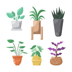 Plant in pot set collection on white background for Achitecture Design presentation.