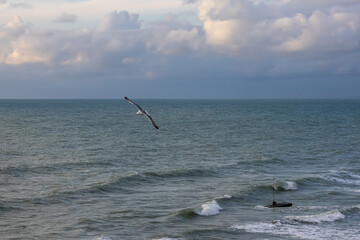 A seagull hovers above the surface of the sea during a storm. Birds and the sea. A storm at sea and inclement weather. Waterfowl fly over the surface of the sea.