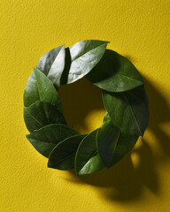 Wreath made of green leaves on a yellow background