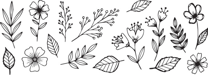 Hand-drawn floral elements featuring flowers leaves and branches perfect for wedding invitations and botanical designs