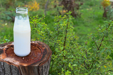 A glass jar with non-homogenized, whole milk