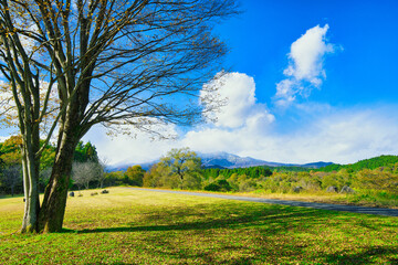 紅葉の始まった美しい木々と日光連山の風景
