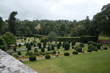 a well maintained big garden view