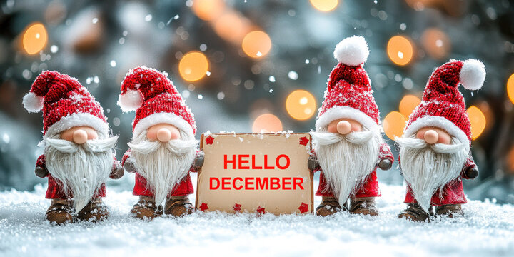Christmas gnomes standing in winter snow holding Hello December sign with festive lights and seasonal holiday atmosphere. Banner poster print design.