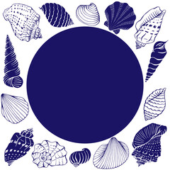 Frame with seashells with copy space for design or message.  Hand drawn