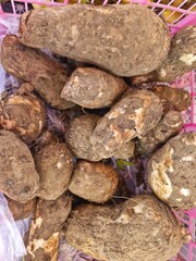 A close-up shot of several cassava roots (also known as yuca or manioc) piled in a white plastic crate.