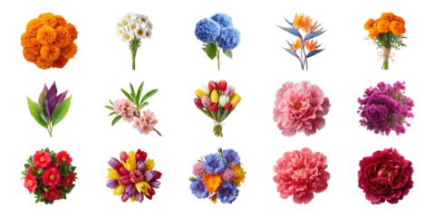 Colorful Flower Variety Set. Floral Arrangement And Decoration Collection Isolated On Transparent Background