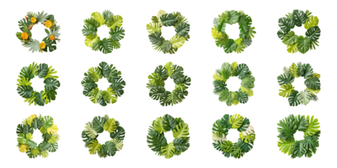 Tropical Leaf Wreaths Set. Nature-Inspired Decorative Elements Collection Isolated On Transparent Background