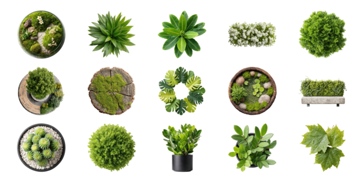 Assorted Greenery And Plant Top View Set. Botanical And Nature Design Elements Collection Isolated On Transparent Background