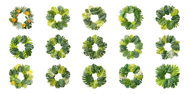 Tropical Leaf Wreaths Set. Nature-Inspired Decorative Elements Collection Isolated On Transparent Background