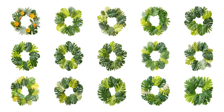 Tropical Leaf Wreaths Set. Nature-Inspired Decorative Elements Collection Isolated On Transparent Background