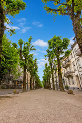 Lichtentaler Allee -Chestnut Alley in Baden-Baden, characterized by a long, deep path lined with rows of pollarded trees