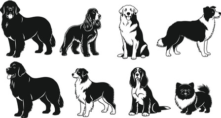Collection of detailed vector dog illustrations, black and white Newfoundland, Spaniel, and Collie breeds, various poses for pet and animal professional logo design