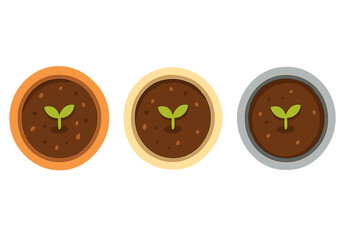 Three small potted seedlings sprouting from rich soil