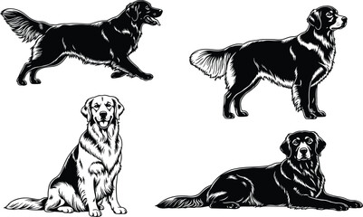 Collection of Golden Retriever dog vector illustrations, isolated black and white figures, various poses for pet care, breeding, and professional animal logo design