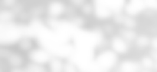 Shadow of leaves tree plant overlay on white wall. Sunlight effect shadow on the wall. Minimal blurred backdrop backgrounds. Summer tropical surface background.