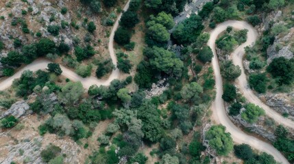 Winding mountain road traversing a green gorge with trees and rocky cliffs, aerial view showing adventure and travel