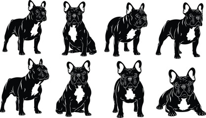 Set of eight black French Bulldog silhouettes, isolated vector illustrations, various sitting and standing dog poses, perfect for pet logo design