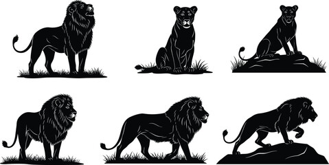 Set of majestic black lion and lioness silhouettes, isolated vector illustrations, roaring and sitting poses for wildlife, safari, and mascot logos