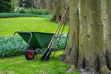 Wheelbarrow and Garden Rake Prepared for Spring Cleanup and Outdoor Landscaping
