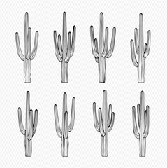 Set of eight saguaro cactus plants, hand drawn in black and white, isolated on transparent background.
