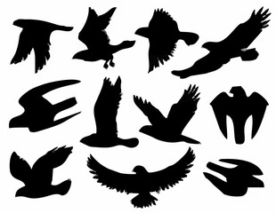 Obraz premium Black Bird Silhouettes - Eagl...