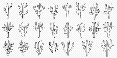 A collection of cactus drawings in a grid pattern, showcasing various shapes and sizes.