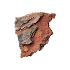 Fototapeta premium Close-Up Of Tree Bark Texture. Natural Patterns And Organic Material For Design Inspiration. Isolated On Transparent Background