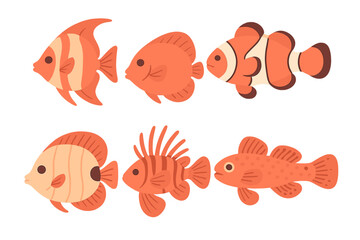 Fototapeta premium Six colorful tropical marine fish species including clownfish and angelfish