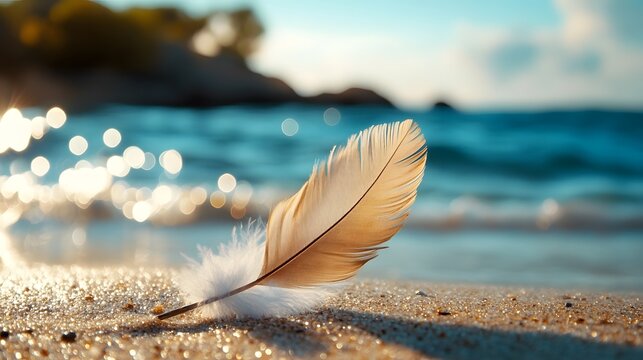 Feather resting on sandy beach next to ocean waves during sunny day with blurred background