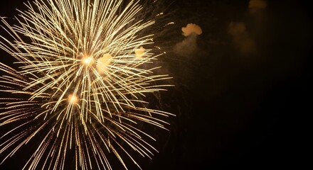 Golden fireworks exploding in the night sky celebration for festive occasions