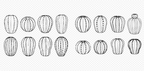 A collection of various stylized sea urchin illustrations in black and white.