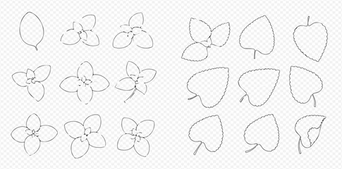 Botanical illustration of various flower and leaf shapes in outline style.