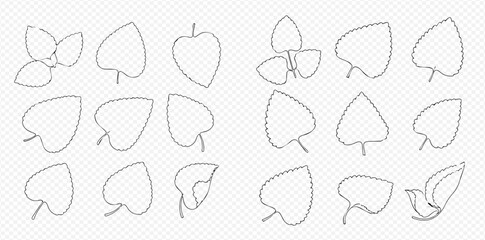 Outlined leaves in various shapes and arrangements on a transparent background.