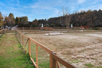 ワンちゃんたちに大人気の広々としたドッグラン