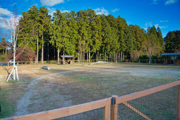 ワンちゃんたちに大人気の広々としたドッグラン