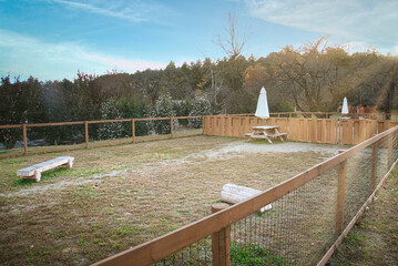 ワンちゃんたちに大人気の広々としたドッグラン