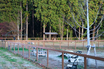 ワンちゃんたちに大人気の広々としたドッグラン