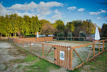 ワンちゃんたちに大人気の広々としたドッグラン