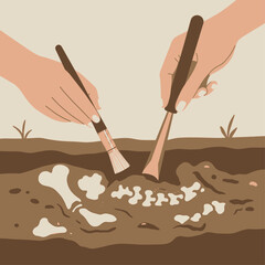 Two hands carefully excavating ancient fossilized bones from the earth using a brush and a chisel, depicting an archaeological or paleontological dig.