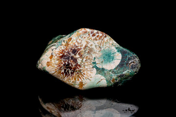 Flower Rhyolite (Green Flower Jasper) on dark background, the composition of Bird&rsquo;s Eye Rhyolite and Green Jasper a newly discovered in 2020s