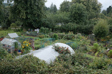 rural area allotment