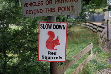 rural area allotment