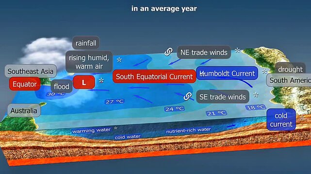 El nino in an average year