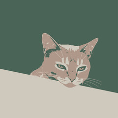 A stylized illustration of a cat peering over a neutral-colored surface.