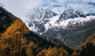 Beautiful high altitude forest mountain landscape in autumn