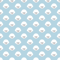 Obraz premium Seamless pattern of white and cute Bichon frise on pastel blue background