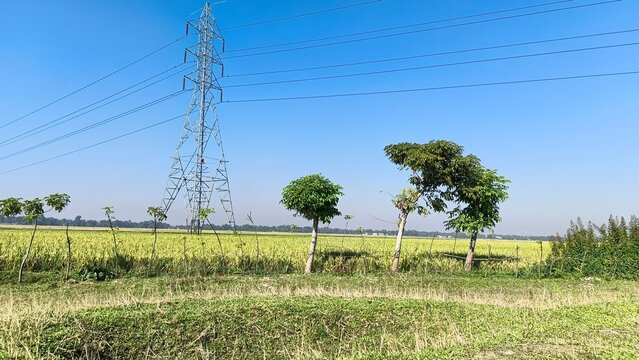Scenic farmland view with power lines against clear sky, depicting energy infrastructure and rural landscape