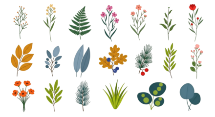 Assorted Hand- Drawn Botanical Illustrations on Black