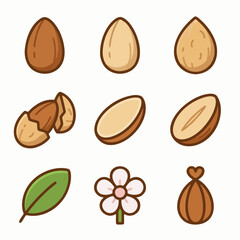 Almond Icons Set – Almond Nuts, Sliced Almonds, Flower, Leaf and Organic Food Vector Illustration